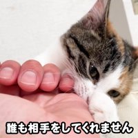 テロップ「誰も相手をしてくれません」