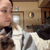 首をかしげる飼い主と猫