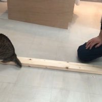 振り返る姿