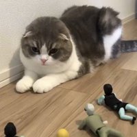 猫に近寄るゾンビのおもちゃ