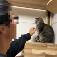 隅で固まって