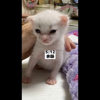 余韻(目を閉じそうに)