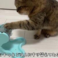 シレッと