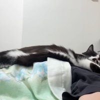 伸びた姿