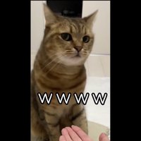 一瞥するみにら君