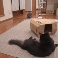 向き合うふたり