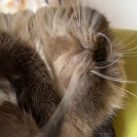 顔のドアップ