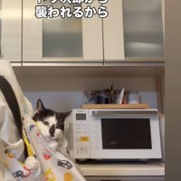 おんぶの全体像