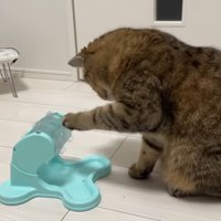 回す姿(横から)