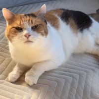 こちらを見上げる姿