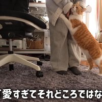可愛すぎて