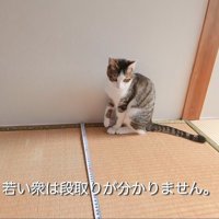 テロップ「若い衆は～」