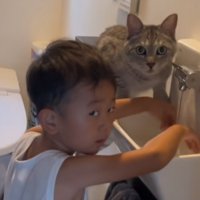 やっちまった顔2