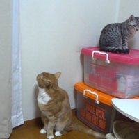 そっぽを向くふたり