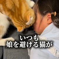 顔をのぞき込む猫