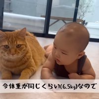 今体重が同じくらい