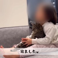 女の子に抱かれて猫