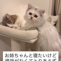 文字の書かれた画像