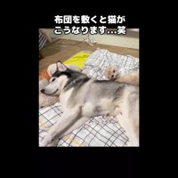 背中合わせ