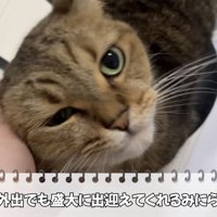 「10分の外出でも...」のテロップ写真