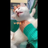 いやぁ…