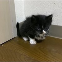 部屋の隅っこ