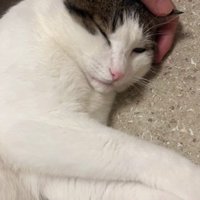 眠そう