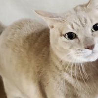 ひのきちゃんのアップ