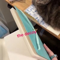 閉じかけたノートと猫