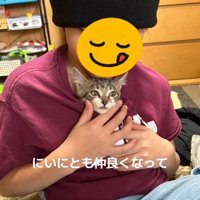 子どもに抱っこされている子猫