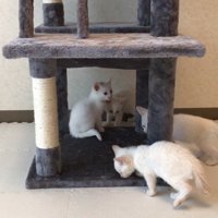 1段目に集合