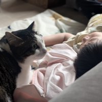 眠っている男の子の近くに座る猫