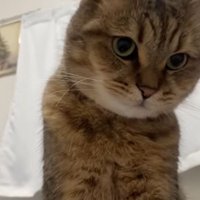 マイペースなみにら君
