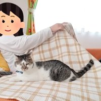 ソファで女性の隣に座っている猫