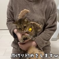 飼い主さんに抱っこされるみにらくん