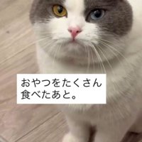 「おやつをたくさん食べたあと」と書かれている