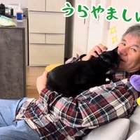 うらやましいだろ？