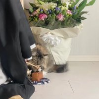 お坊さんと猫