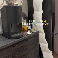 キッチンペーパーを回して止める猫