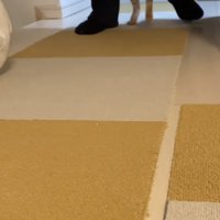 二足歩行する猫の写真2