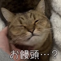 「お饅頭...？」のテロップ写真