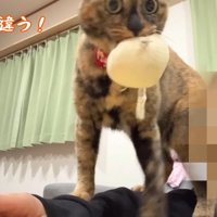 なんか違う！