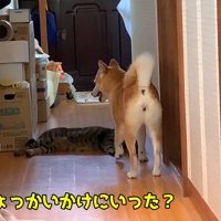 ちょっかいかけにいった？
