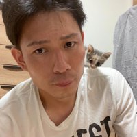 肩に乗る子猫