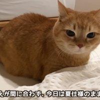 テロップ「布団の衣替えが～」