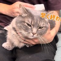 早く終わらして