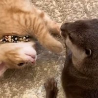 床に寝るふたり