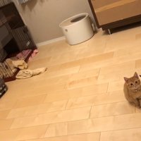 見送るふたり