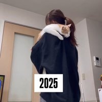 抱っこされ寝ている猫