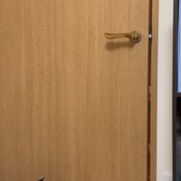 ドアを見つめる猫